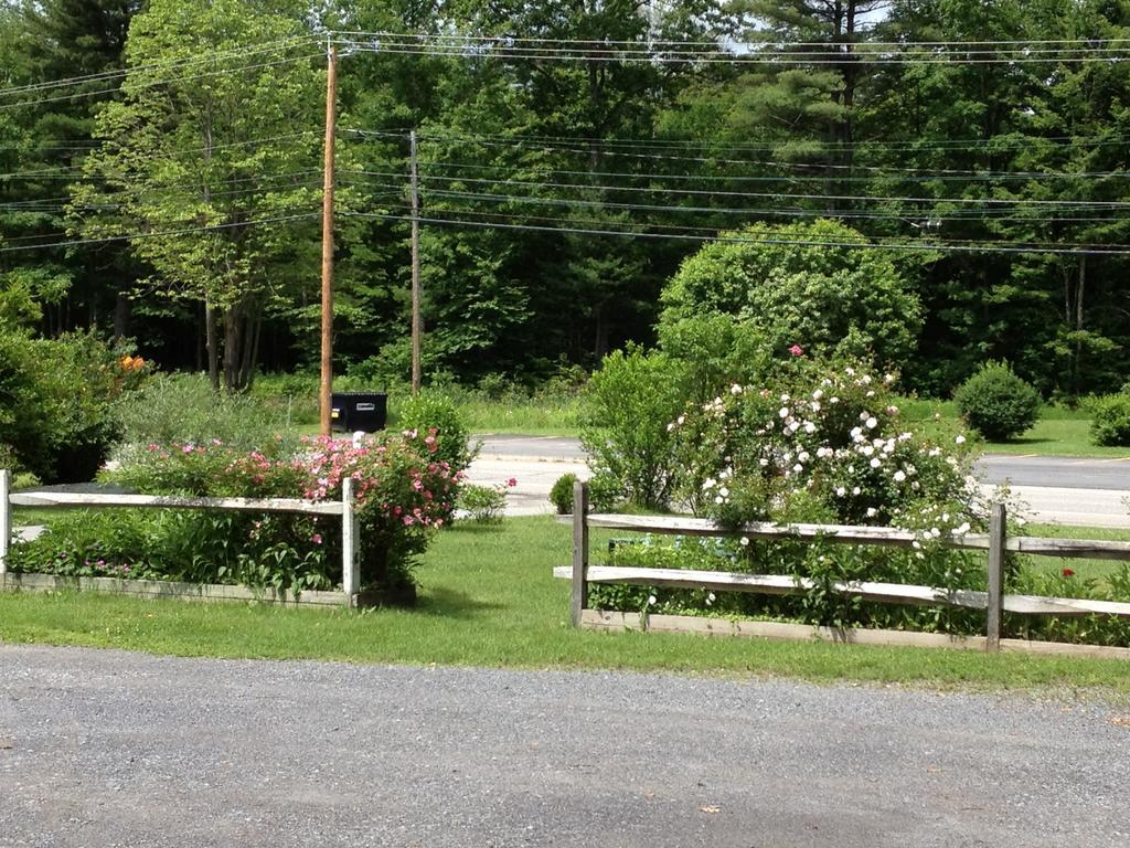 Mcgregor Inn Motel Wilton ภายนอก รูปภาพ